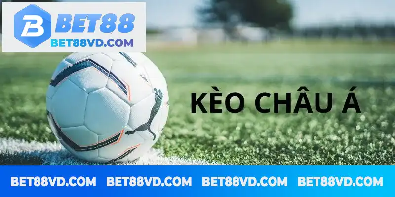 Kèo Châu Á: Cân bằng và hấp dẫn trong cá cược bóng đá