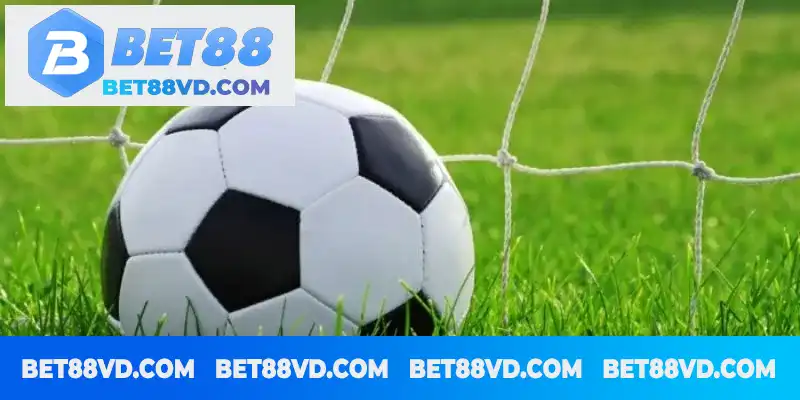 Kèo châu Âu tại BET88 là hình thức như thế mà vạn người mê mẩn? Kèo châu Âu tại BET88 là hình thức như thế mà vạn người mê mẩn?