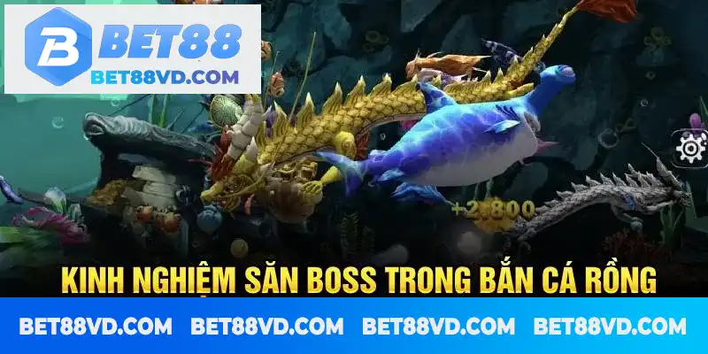 Kinh nghiệm săn boss trong Bắn cá Rồng Kinh nghiệm săn boss trong Bắn cá Rồng